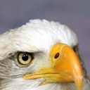 Scott McShan - @pscottmc - Twitter