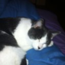 Kathy Curtis Ventura - @katsjimmy - Twitter