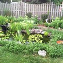 Sheila Daugherty - @SheilaDaughert8 - Twitter