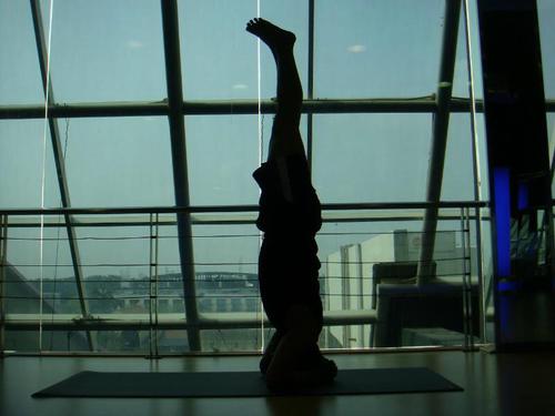 JuveDQ's profile picture. Yogi, Juventini, Sone