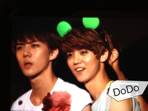 AM_EXOLuhan's profile picture. Official at @amazingent_RP | cutest sister @AM_LunaFx :3