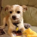 Bob Dailey - @BogeyRad - Twitter