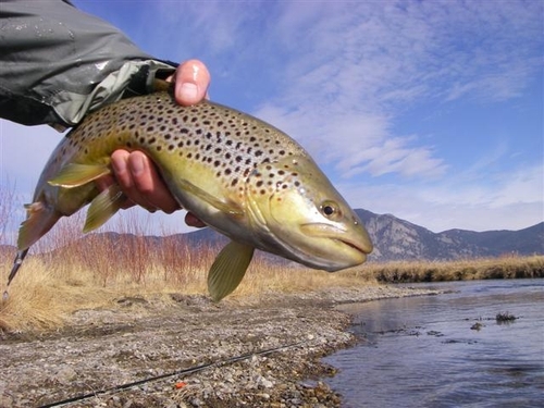 Mhorson's profile picture. Computer Scientist/Engineer - Cyber Security, Resilient Infrastructure, Complex Adaptive Sys; Recreation - Fly Fishing, Casting Instructor, River Rafting