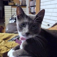 jones (@jastama) 's Twitter Profile