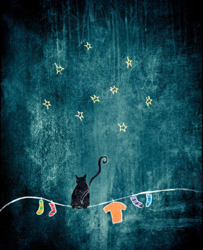 1076659525's profile picture. 