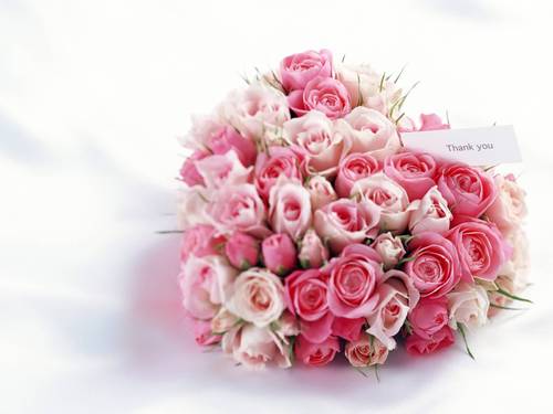 Agency for WGM RP | Join? Check Favorite | With mind Mak and mind Doll :3