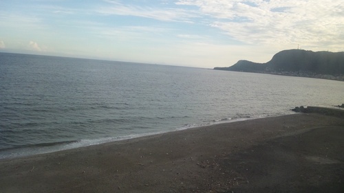 tanbotanbo's profile picture. 三つマングローブ