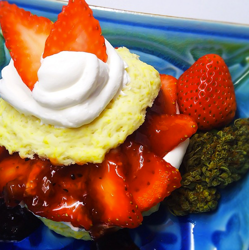 BakedBook's profile picture. Learn to cook with weed! #420 #medicalmarijuana #followback @sexyxgamer & her sidekick @stonedcognition