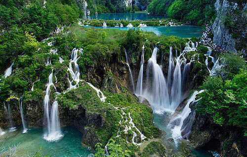 sohillo's profile picture. 