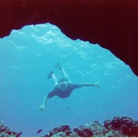 Kevin Donoghue (@kevin2735) 's Twitter Profile