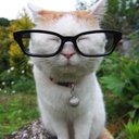 Wayne.Wang - @WayneWang1 - Twitter