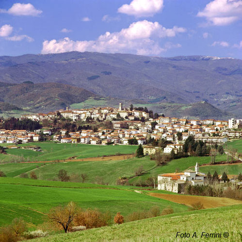 tifoso Viola,  i love Casentino