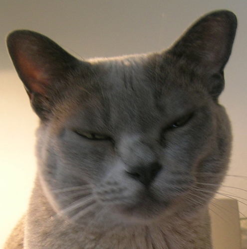 jneave's profile picture. IT. Interested in the world. A believer in the benefits of Government and community. A fan of Occam’s razor. Views expressed are mine alone.