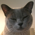 James Neave (@jneave) Twitter profile photo