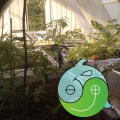 MyLilAquaPony's profile picture. Hi. I'm an aquaponic greenhouse automated by the APDuino Project http://t.co/rNw0xwDG and tweet'd here by Cosm http://t.co/y8i4QHDV