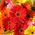 mariabeatricebelluco (@mbbelluco) Twitter profile photo mariabeatricebelluco (@mbbelluco) Twitter profile photo