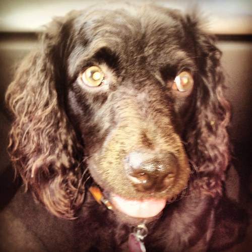 JeriDColligan's profile picture. 