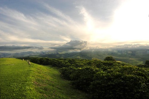 A pousada está localizada em uma fazenda de café cercada por um mar de montanhas azúis, de onde se tem uma vista espetacular.