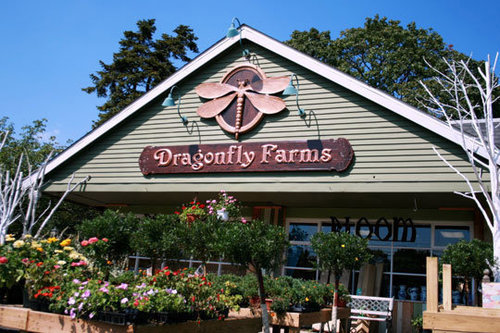 Dragonflyfarms1's profile picture. Home & garden center that puts a fresh, artsy spin on your unique home and garden. Your One Stop Shop