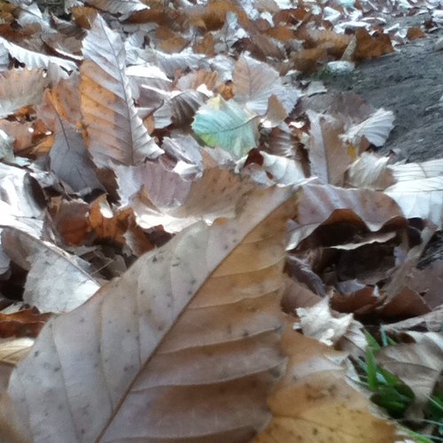 station_photo's profile picture. La photo, en voila un beau passe-temps! Et c'est pour cela que j'en partage, bien sur elles sont toutes de moi! 700 followers??