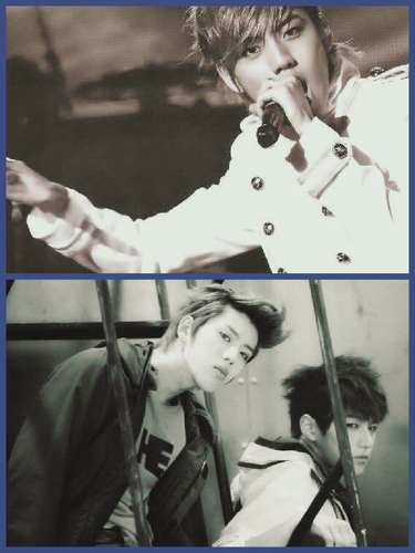 infinitefun_b's profile picture. 120824~ing/인피니트상황문답봇입니다!!!/follow me~,~