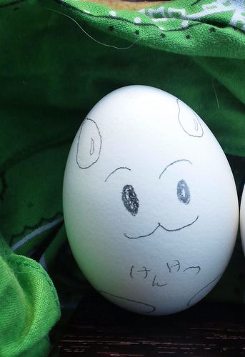 sunrise_kyoto's profile picture. Male Japanese born 1987. Been to China(3days) and Holland(1week). Love blood donation. Majored in physics. Amateur ukulele player ＠ Osaka castl. IT engineer.