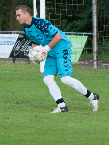 Meervogels B1/ Azv B1 #1