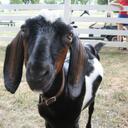 Boyd Williams - @LoverBoyd - Twitter