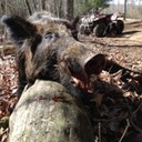 Dave Haun - @exploringdave2 - Twitter