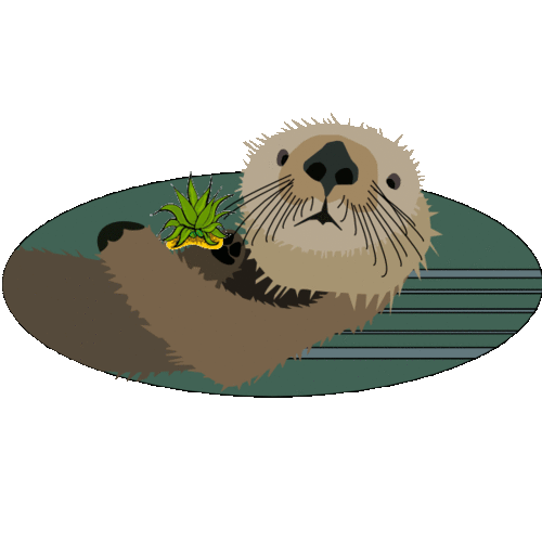 TheAgaveOtter Profile Picture