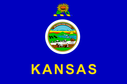 smallbizkansas's profile picture. Working to help small businesses maintain and grow through education, innovation and capitalization.