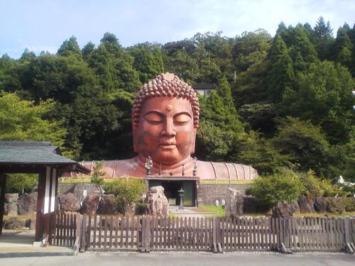 スターライト児島さんのプロフィール画像