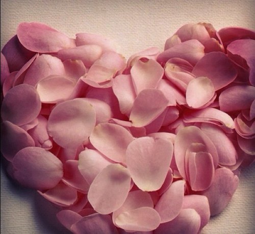 Asola6548's profile picture. 