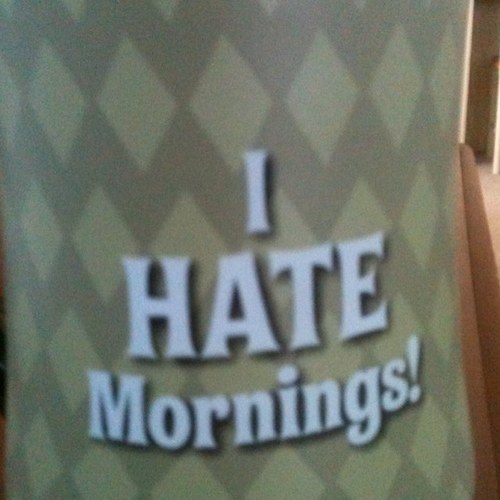 rdarcher501's profile picture. 