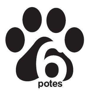 Canicross6Potes's profile picture. Club de Canicross.