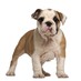 NA Lower School (@nalowerschool) Twitter profile photo