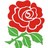 stefanrose_uk's profile image