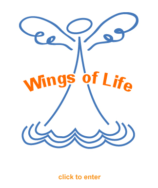 AdrianasWings's profile picture. Adriana's Wings of Life is an organization dedicated to bringing awareness to Leukemia. Help us conquer this in our lifetime. http://t.co/tcvtThZvSJ