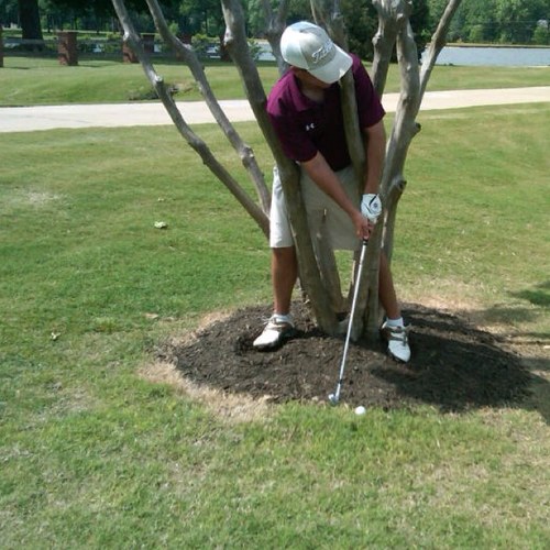 will_fisackerly's profile picture. 