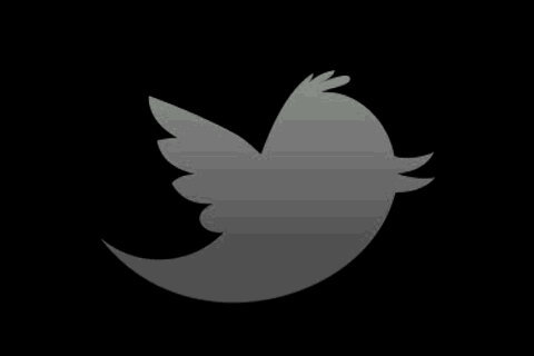 g_processed's profile picture. 