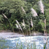 Jenny Lu (@chineseteacher7) 's Twitter Profile