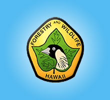 Hawaii Division of Forestry and Wildlife