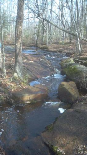 halifaxcotton1's profile picture. 