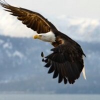 Pogger (@pogger) Twitter profile photo