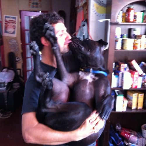 BusMod's profile picture. Post-pop-punk band. It's Nick (Ape Up!), Peter (Algernon Cadwallader), Barclay (Man Without Plan).