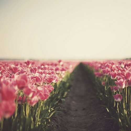 R_T_wet's profile picture. 