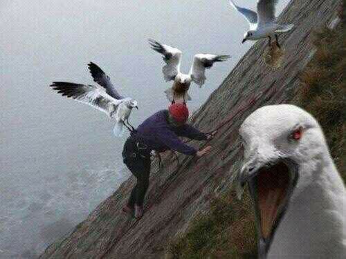 Swag met style follow gwn opgericht op 25 augustus 00:10
