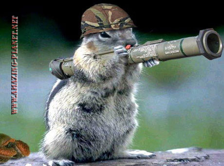 General Sheldon B. Squirell of the United Squirells Army|Tweeting (Sarcasm)Quotes|English & Dutch|
