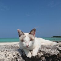 キリウ・タカノリ (@taka_nori2000) 's Twitter Profile Photo