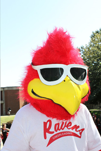 RavenActivities's profile picture. 